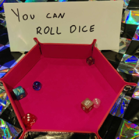 photograph of six six-sided dice in a dice tray with a paper sign reading 'You can roll dice' written in sharpie.